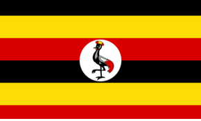 Liquid Filling Mchine in uganda