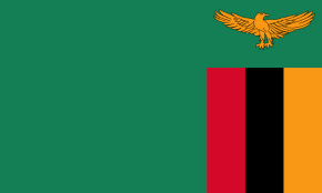 Liquid Filling Mchine in zambia
